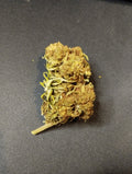 Jack Herer