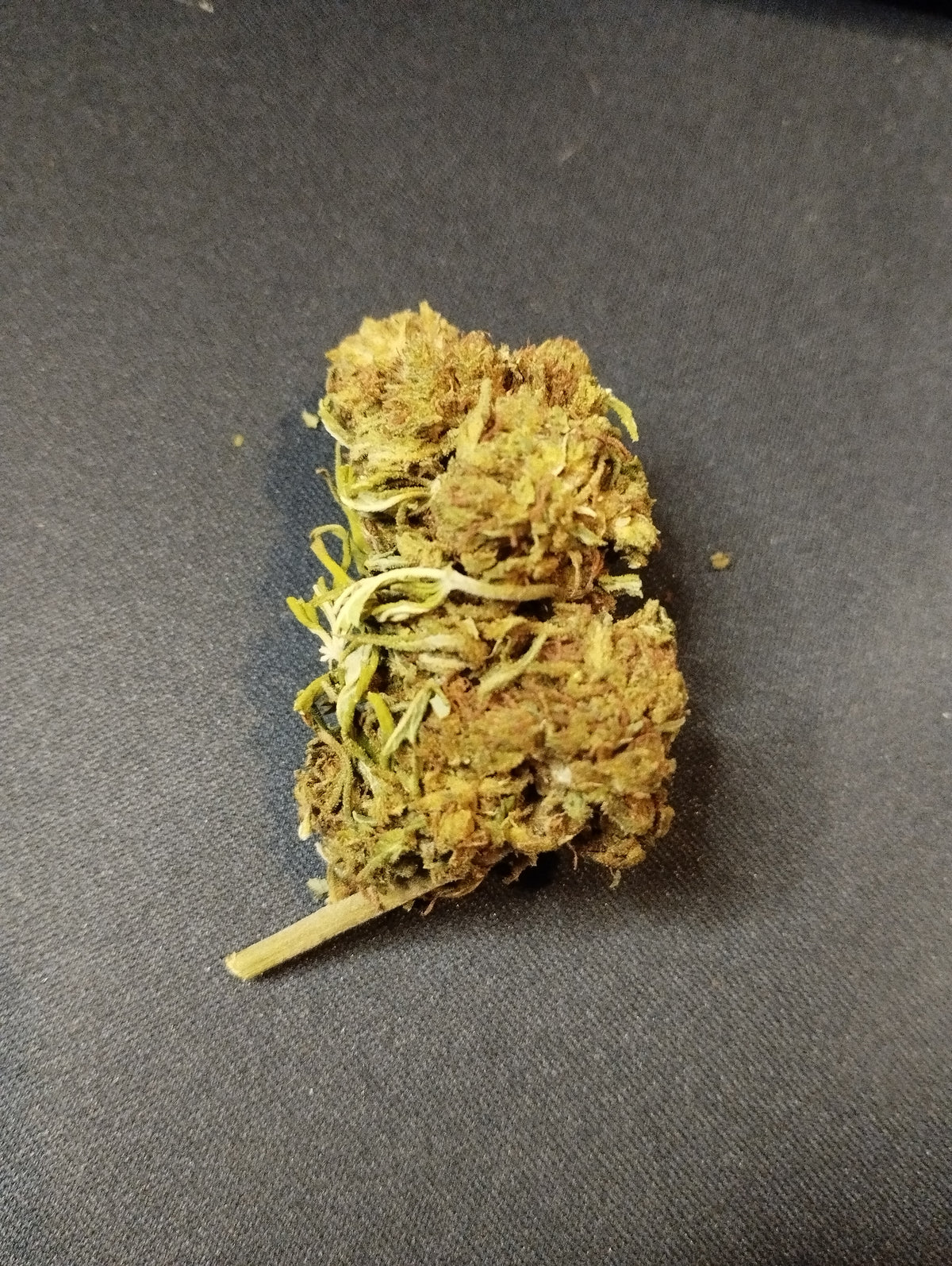 Jack Herer